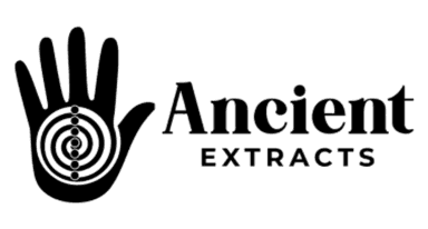 Brand 24